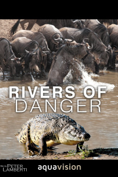 Rivers of Danger 2004 POSTER