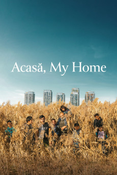 Acasa, My Home Acasa, My Home
